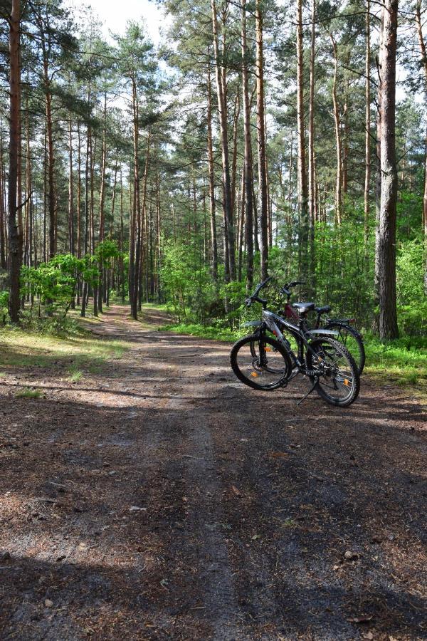 Stary Janow - Pensjonat Staporkow Bagian luar foto