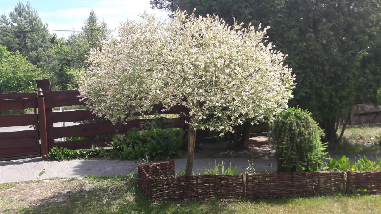 Stary Janow - Pensjonat Staporkow Bagian luar foto